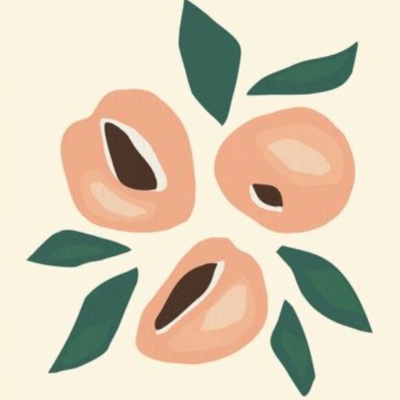 Meet your Posher, PeachPolish - Picture 1 of 1